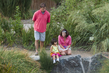 Family exploring nature