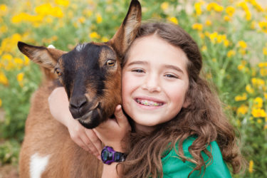 Little girl hugging goat