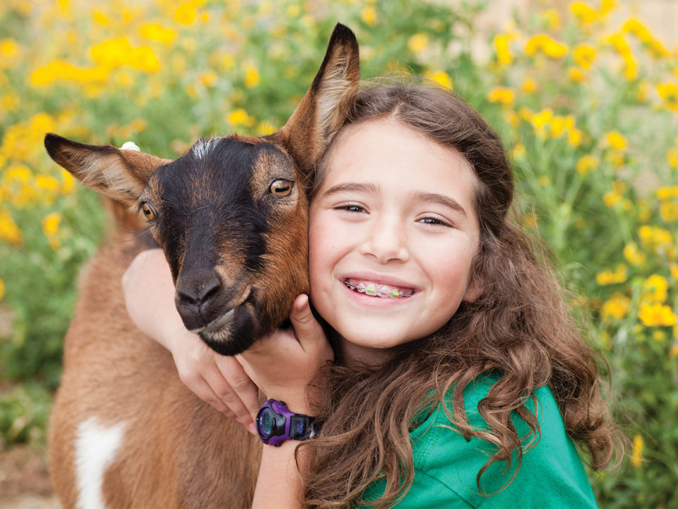 Little girl hugging goat