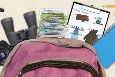 Backpack with book, map, camera