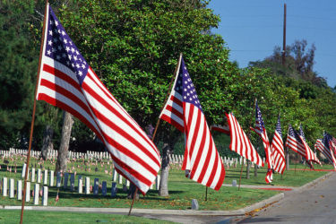 American Flags