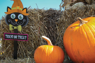 Pumpkins on bale of hay
