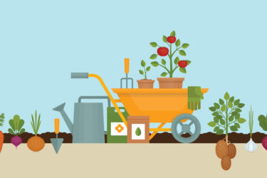 learning in the garden