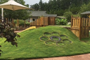 outdoor learning environments