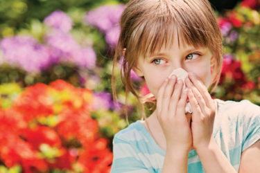 colds and seasonal allergies