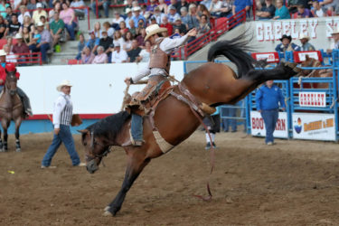greeley stampede rodeo