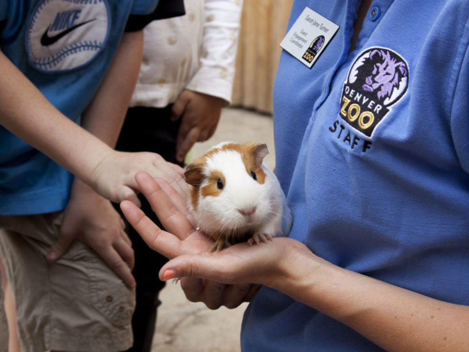 Denver Zoo's Be a Zookeeper Zone