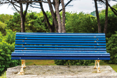 The Blue Bench