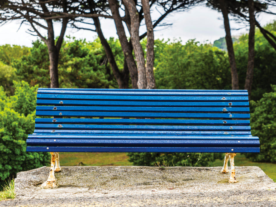 The Blue Bench