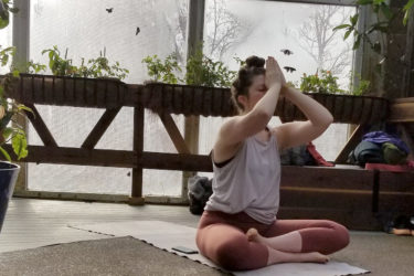 Butterfly Pavilion yoga