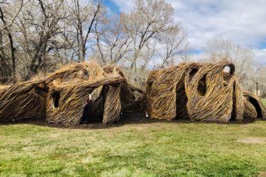 Patrick Dougherty