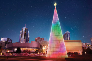 Mile High Tree Denver Colorado