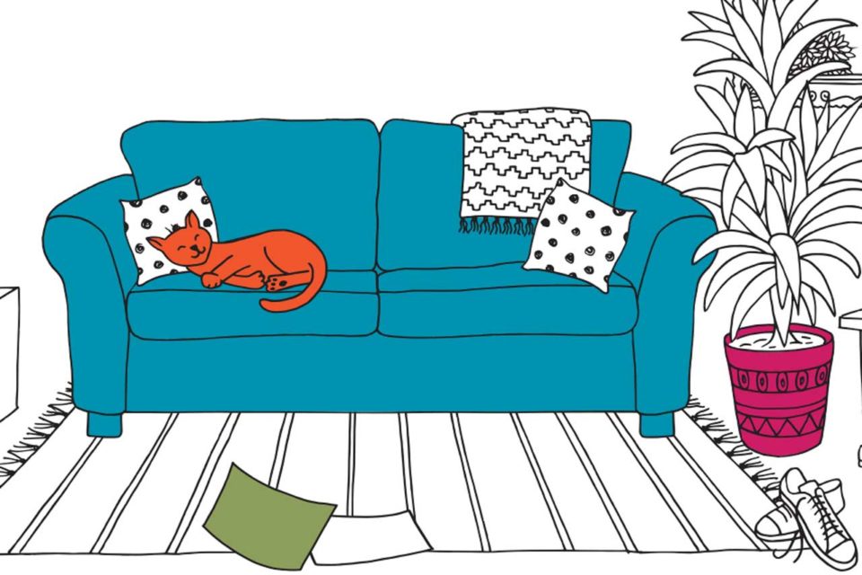 Cat on Couch