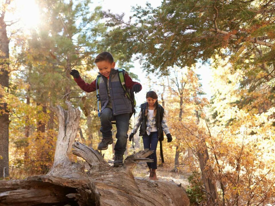 Fall break ideas for kids