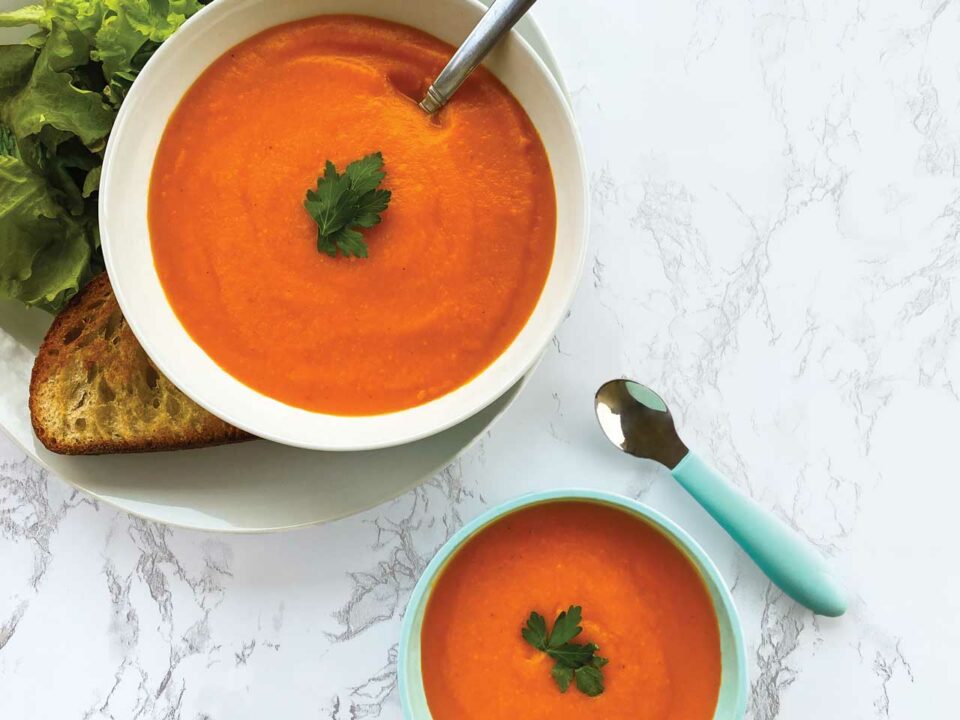 Carrot Ginger soup Nest