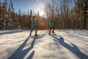 Snowshoe trails colorado