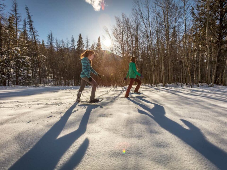 Snowshoe trails colorado