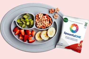 SpoonfulONE and food on tray