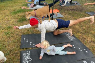 Goat Yoga in denver