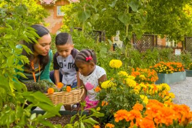 Children in garden