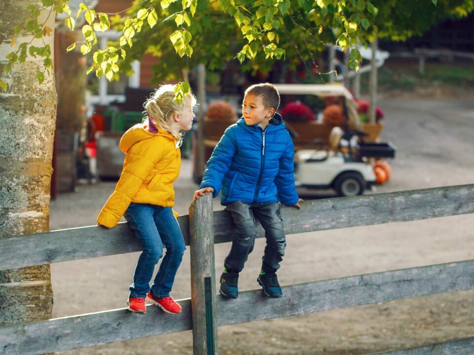 Children talking while sitting on a fence