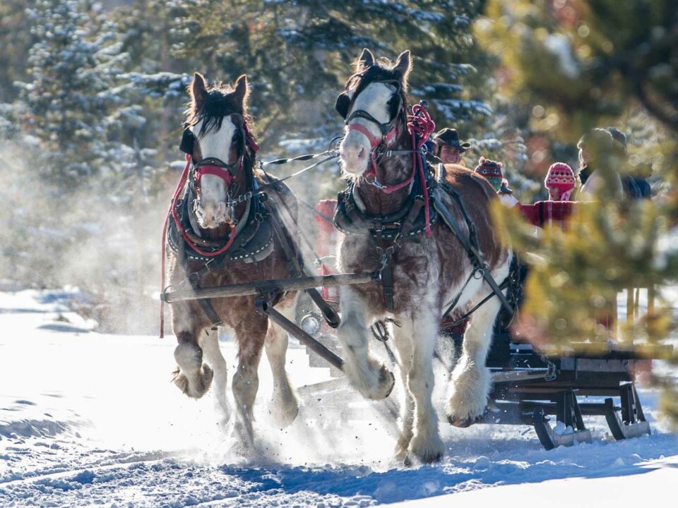 YMCA of the Rockies Snow Mountain Sleigh Rides
