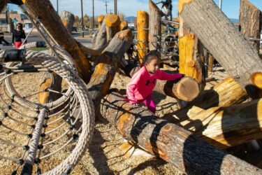Westminster Station Nature Play Park